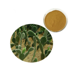 Supply high quality natural plant cactus extract powder